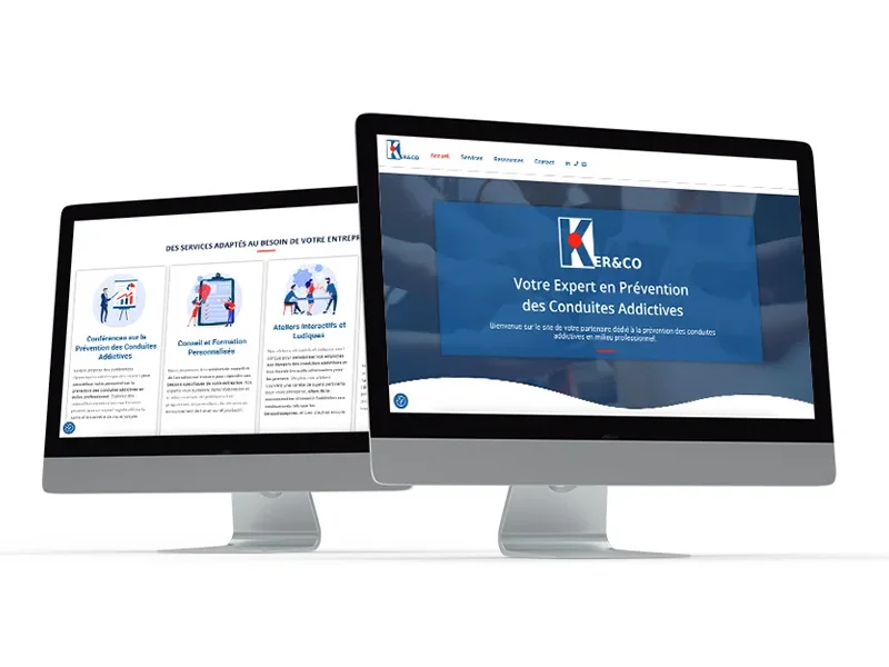 webdesigner, webmaster,graphiste Freelance - Troyes et paris